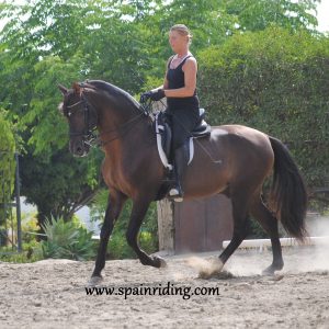 Horseback riding, dressage, Fuengirola, Marbella