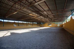 Privat ridundervisning på välutbildade Spanska hästar, Fuengirola, Marbella